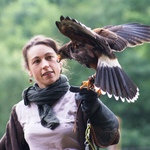 Heria parc animalier du h%c3%a9risson aline