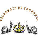 Logo2