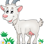 Biquette rigole